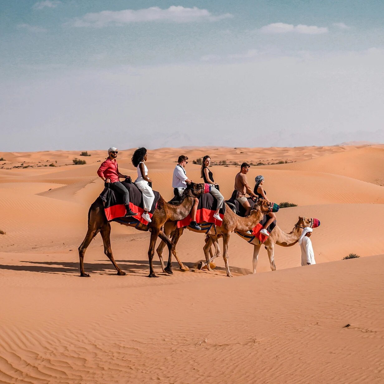 Camel Ride Dubai