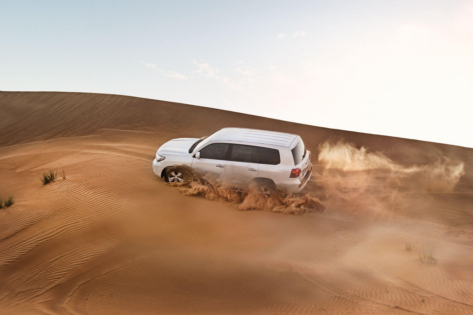 Desert Safari